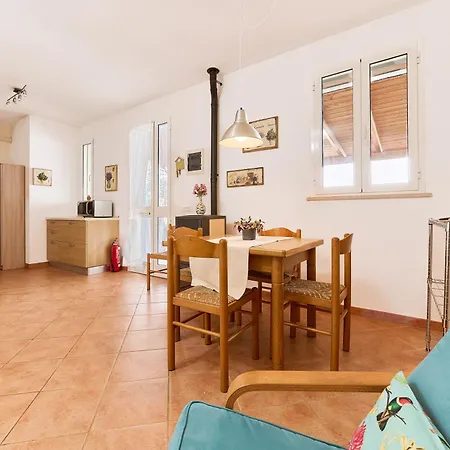 L'olivo A 50m Dal Mare San Vincenzo